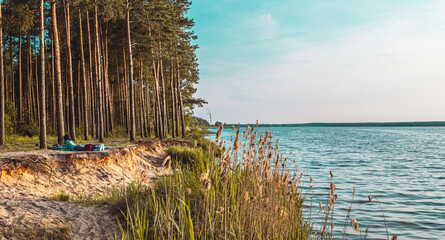 Forest cliff on the lake. Reeds and roots. Sunbathing on a blanket Zalew Sulejowski.