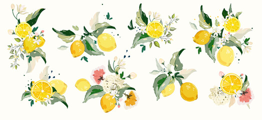 Big vector Set of lemon branch. Flower, green leaves. fruit and splashing juice. arrangements - obrazy, fototapety, plakaty