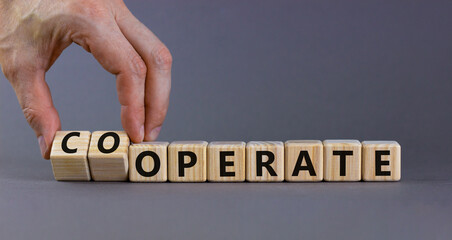 Operate and cooperate symbol. Businessman turns wooden cubes and changes the word operate to cooperate. Beautiful grey table, grey background. Operate, cooperate and business concept. Copy space.