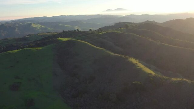 Early morning sunlight shines on the green hills of the east bay, near San Francisco Bay. These hills in California are dry much of the year but turn green durning wet, winter months.