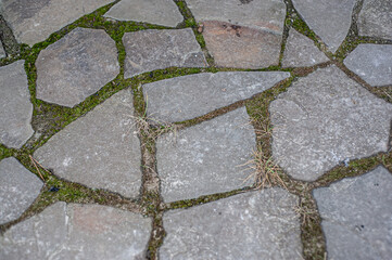 stone wall with green moss in the joints