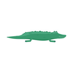 crocodile exotic animal