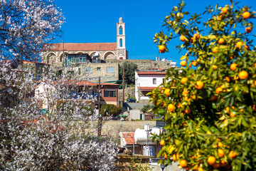 Cyprus, Kellaki village church seen through almond and orange trees