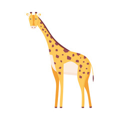 exotic giraffe animal