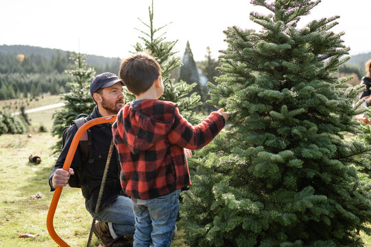 Father holding saw and looking at Christmas Tree with boy