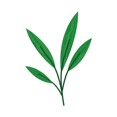 branch with leaves plants