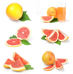 Collection of grapefruit isolated on a white background
