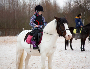 Girl rides on a white horse. Hippotherapy for young children is the prevention of spinal diseases, as well as therapy after many serious diseases