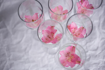 Delicate small pink flower in a glass goblet as a decoration on a white background