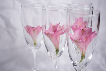 Delicate small pink flower in a glass goblet as a decoration on a white background