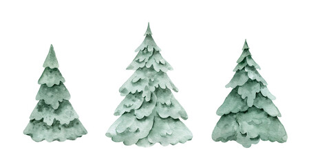 Christmas trees. isolated on white background.Watercolor illustration.