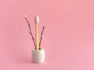 Bamboo toothbrush, pussy willow branches in concrete stand, eco spring