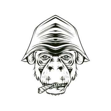 monkey head detail illustration smoking and wearing a hat sketch