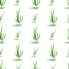 Seamless pattern with green hand-drawn watercolor grass on a white background. For textiles, print. Natural Organic Concept. Simple two-color image