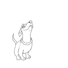 Vector design for postcard backgrounds and fabrics.Funny animals