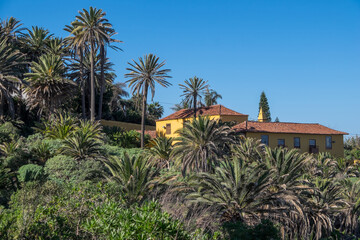 Fototapeta na wymiar Antigua mansión rodeada de palmeras en la Rambla de Castro en el municipio de Los Realejos en el norte de la isla de Tenerife, Canarias