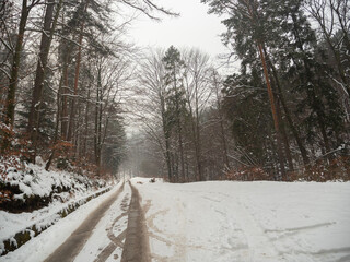 Zaśnieżona droga w zimowym lesie