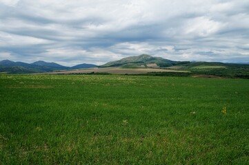 Green landscape with sky