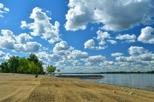 Petrie Island Beach