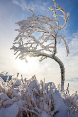 Winterzauber