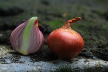 Obraz premium Red onion, sliced in half, Set of sliced red onion, Shallots still background, onion bulb season herb vegetable, ingredient.
