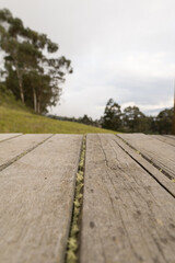 details of wooden plank on the floor and in the background landscape of a park with trees and grass in the daytime, horizon with nature