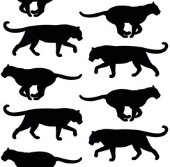 Vector seamless pattern of flat tigers silhouette isolated on white background
