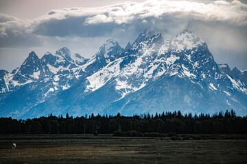 snow covered mountains