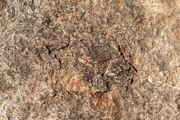textures of stones, rocks, wood, and logs with various colors and shapes texture and volume ideal for backgrounds