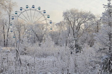 Fototapeta na wymiar Winter siberian park