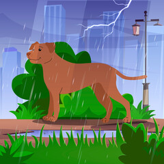 Dog walking under the rain in the city park