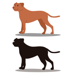 The brown dog and its silhouette