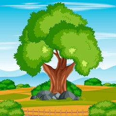 Scene of a Tree in the Natural Park