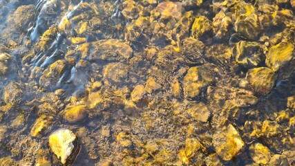 Kamienie w rzece