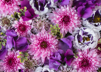 Composition of pink and purple flowers