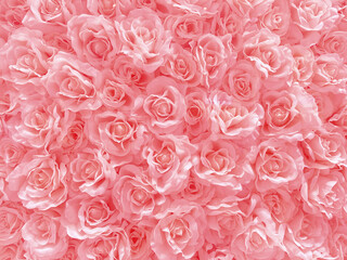 ピンクのバラ　背景素材