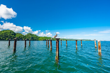 Plakat wooden bridge juts out into of the sea Dominican Republic