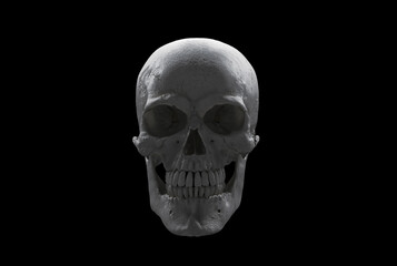 Fototapeta premium White Human skull full face on Black Isolated Background. The concept art of death, horror. Design for print, poster. A symbol of spooky Halloween, Virus, immortal, pirat. 3d rendering illustration..