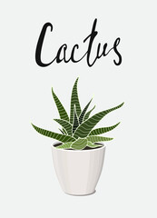 poster fresh green home decor house plant cactus Haworthia in a pot with lettering