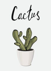 poster home garden natural plant compact green mexican cactus potted with handdrawn lettering