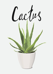 poster home garden plant green cactus aloe vera potted and handdrawn lettering