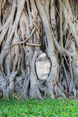 Ayutthaya,Thailand - December14,2021 : Buddha's Head in tree Roots at Wat Mahathat temple,It is one of Ayutthaya's best known temples and a major tourist attraction.