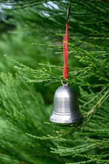 Metal silver bell Christmas ornament with a red ribbon hanging on the branch of a live cedar tree...