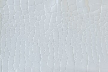 Obraz na płótnie Canvas Close-up of white crocodile skin texture, beautiful abstract pattern.