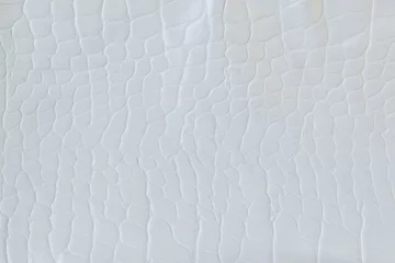 Poster Close-up of white crocodile skin texture, beautiful abstract pattern. © ประพันธ์ บุญเหมาะ