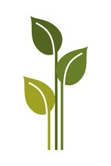 stems and leafs