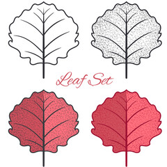 Colorful hand drawn autumn leaves. Hand draw leaves collection 10. Autumn leaf vector illustration.