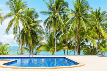Swimming pool blue water, sea beach poolside, tropical island nature, green palm trees, ocean coast...