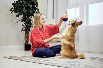 young girl playing at home with her dog. a small corgi stands on its hind legs. cozy blindman at home. selective focus