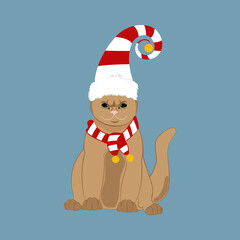 Cat in christmas holiday hat and scarf